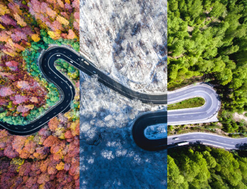 Seasonal Guide: Capturing the UK’s Natural Beauty with Your Drone